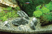 Aquarium Rocks