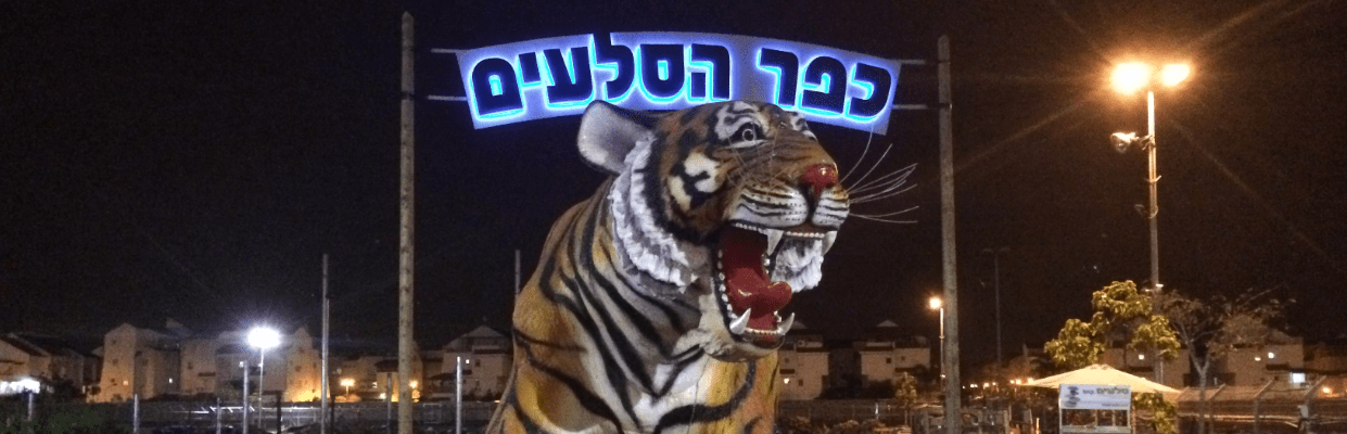סוגי סלעים ותכונותיהם סוגי סלעים ותכונותיהם