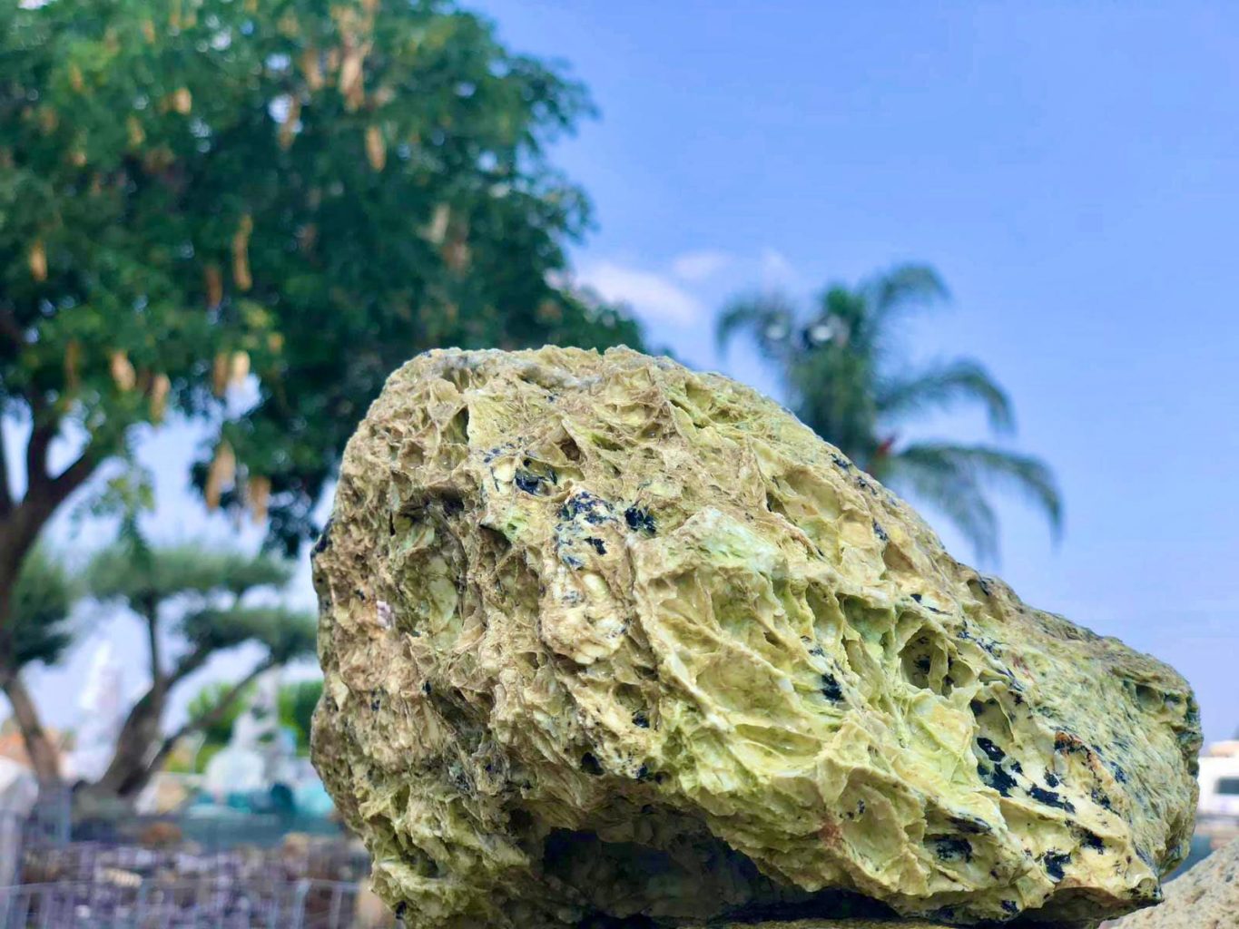 סלע ספוג ירוק לאקווריום אבנים מיוחדות לאקווריום מחיר אינרטיים אקווריום צמחיה
