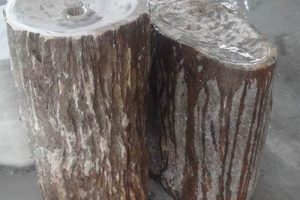 עצים מאובנים