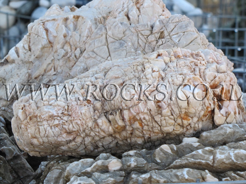 ליידי מקומטת