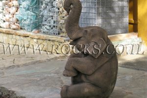 קישוטים לבית ולגינה