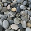אבנים וסלעים לגינה