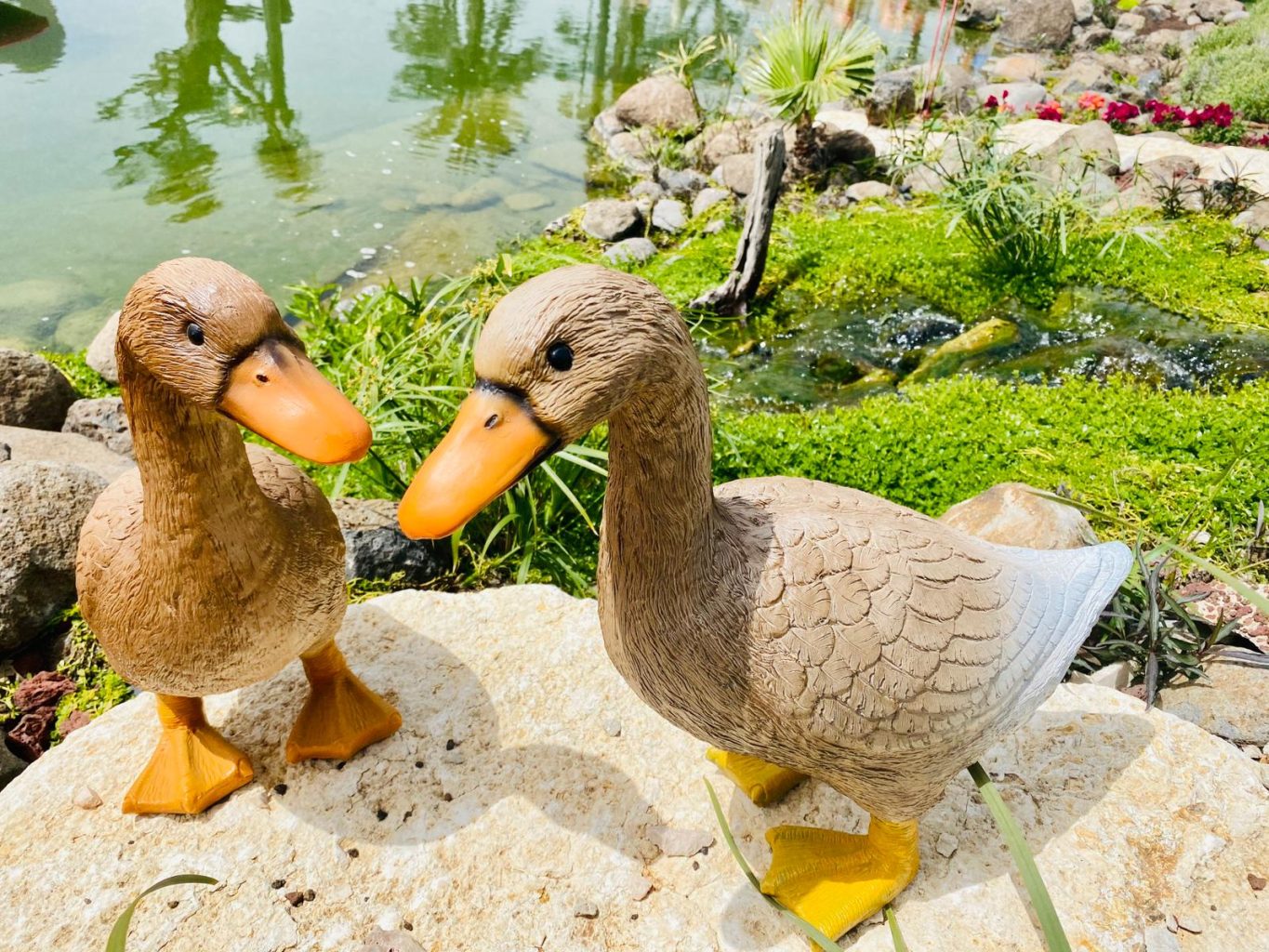 ברווזים לגינה בובות ופסלים לבית ולחצר
