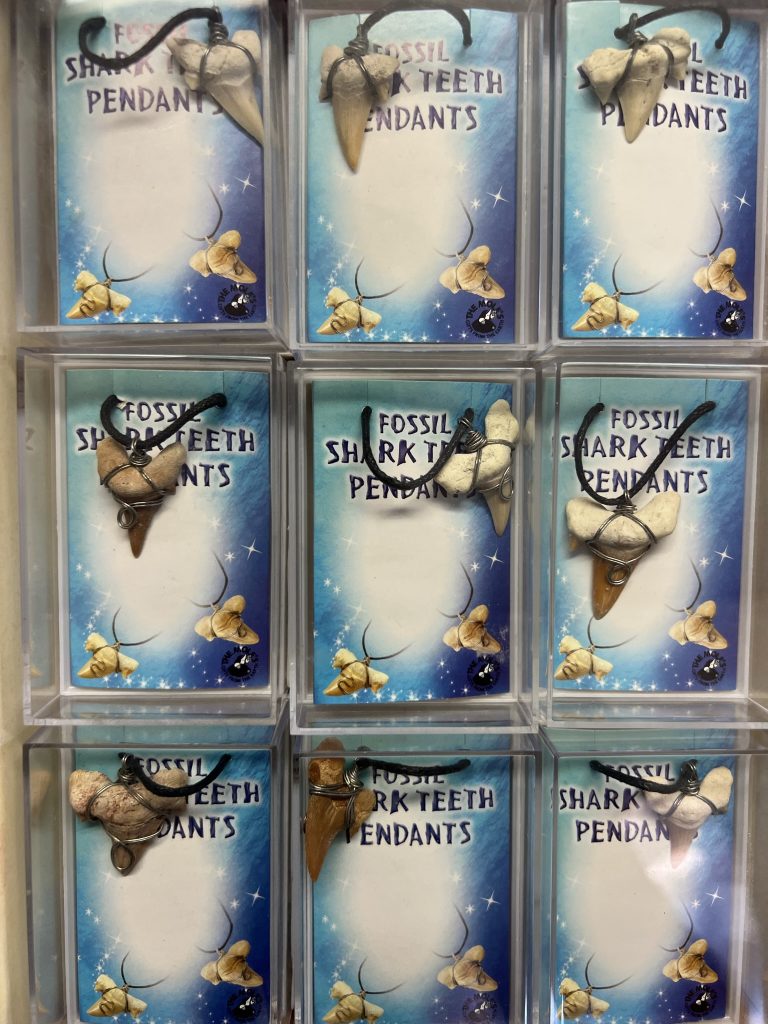 תליוני שן כריש מאובנת