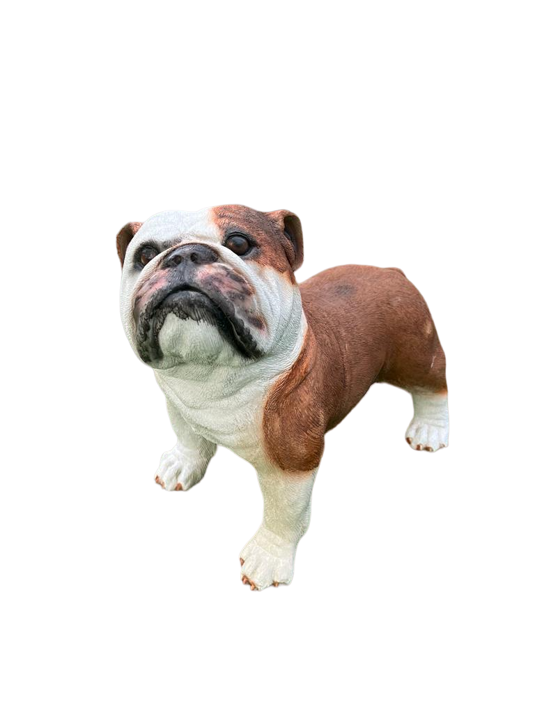 פסל בולדוג לגינה לבית dog sculpture for home and garden פסל כלב