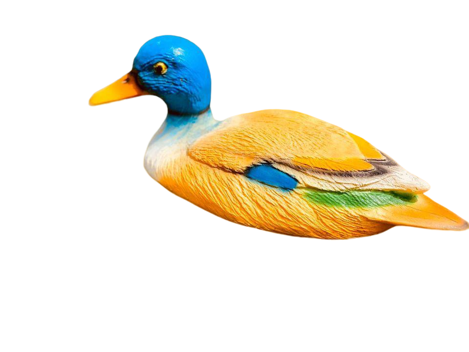 פסל ברווז ברכיה duck sculpture