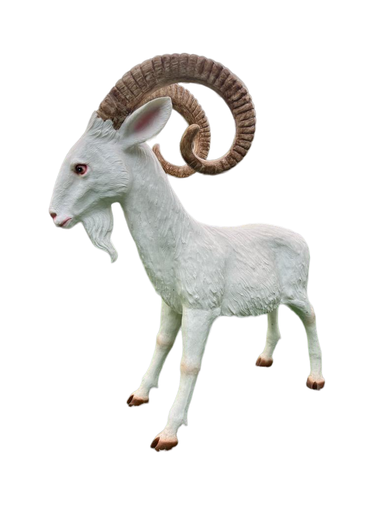 פסל עז תיש גדי כבשה goat sculpture