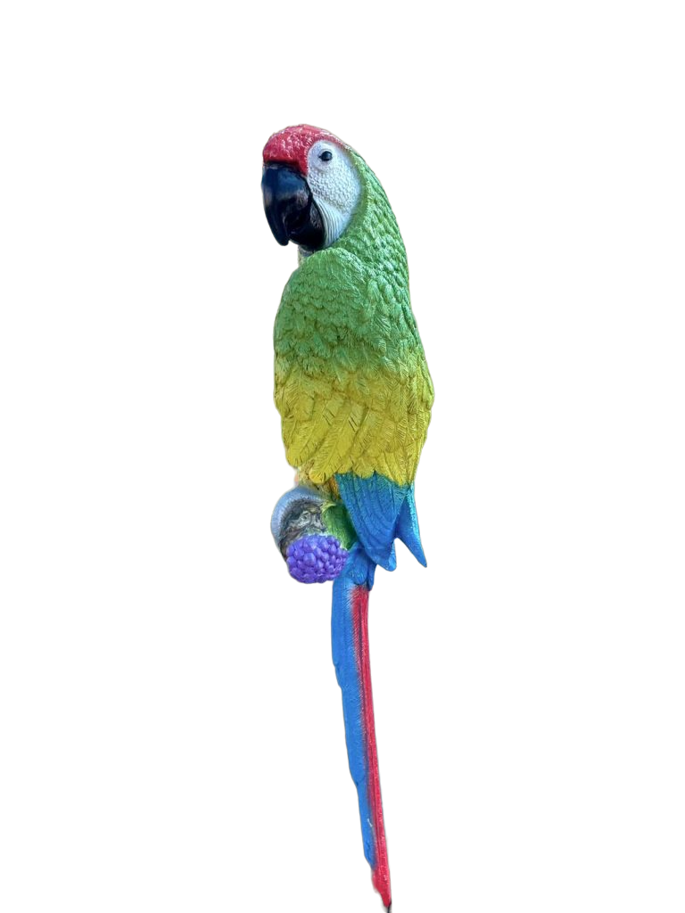 פסל תוכי לגינה parrot sculpture