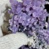 אגת סגולה ענבים grape agate
