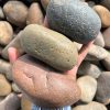 חלוקי נחל יפים לעצים beautiful Pebbles גודל 4