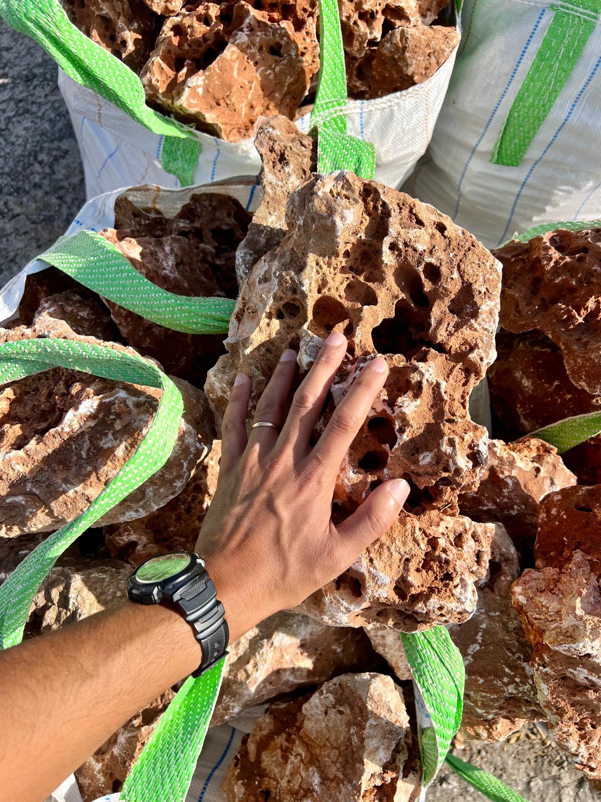 סלע לקט לפרחים בגינה