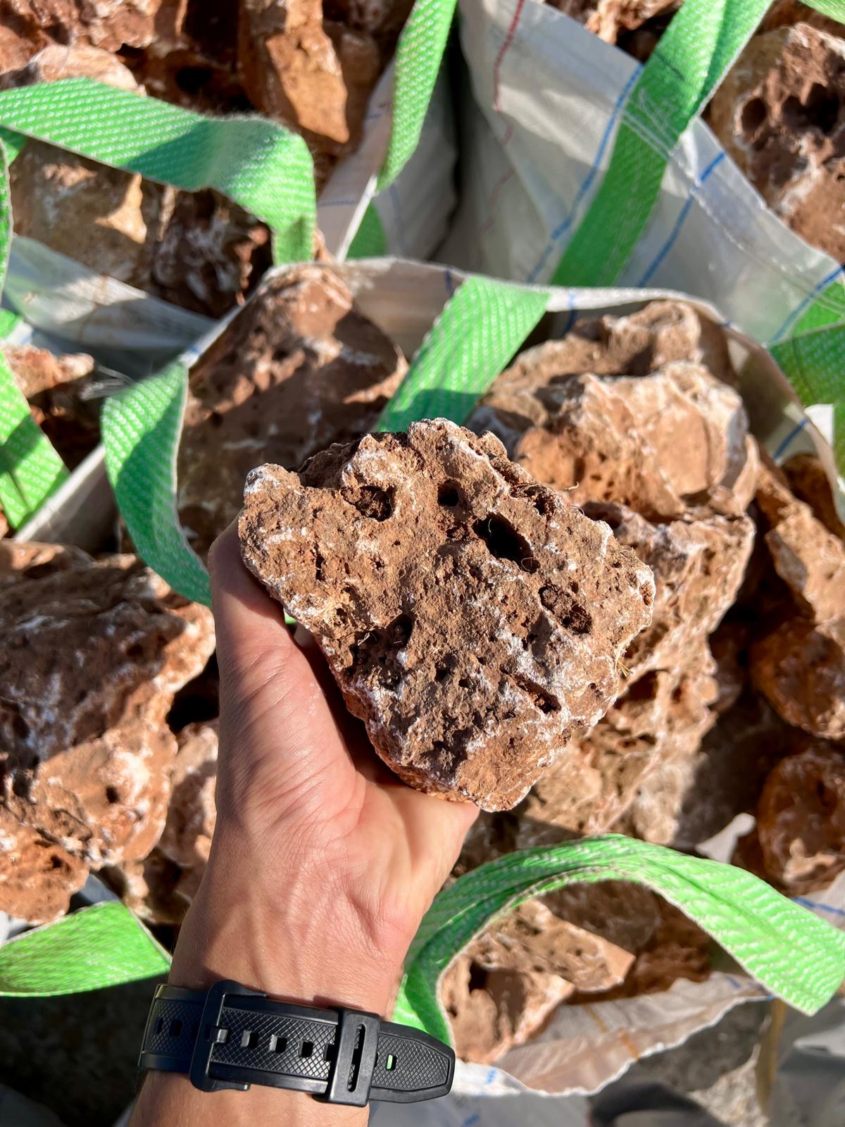 סלעים לערוגה בגינה סלע לקט פראי