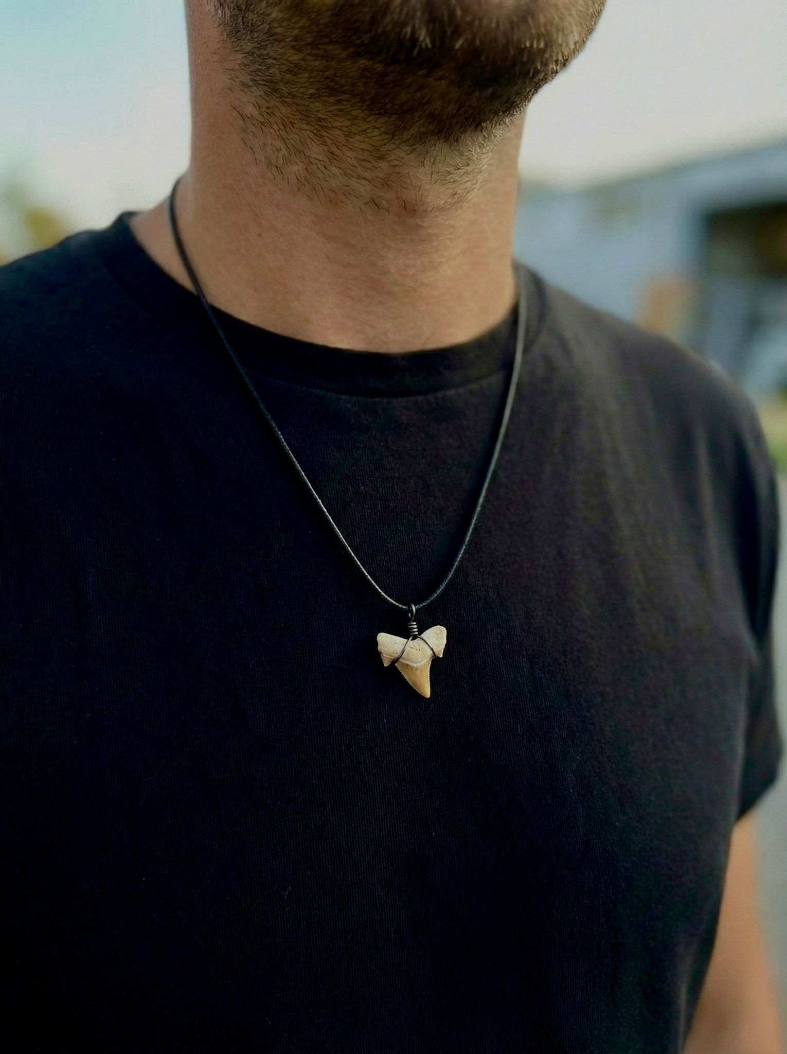 תליון שן כריש מאובן