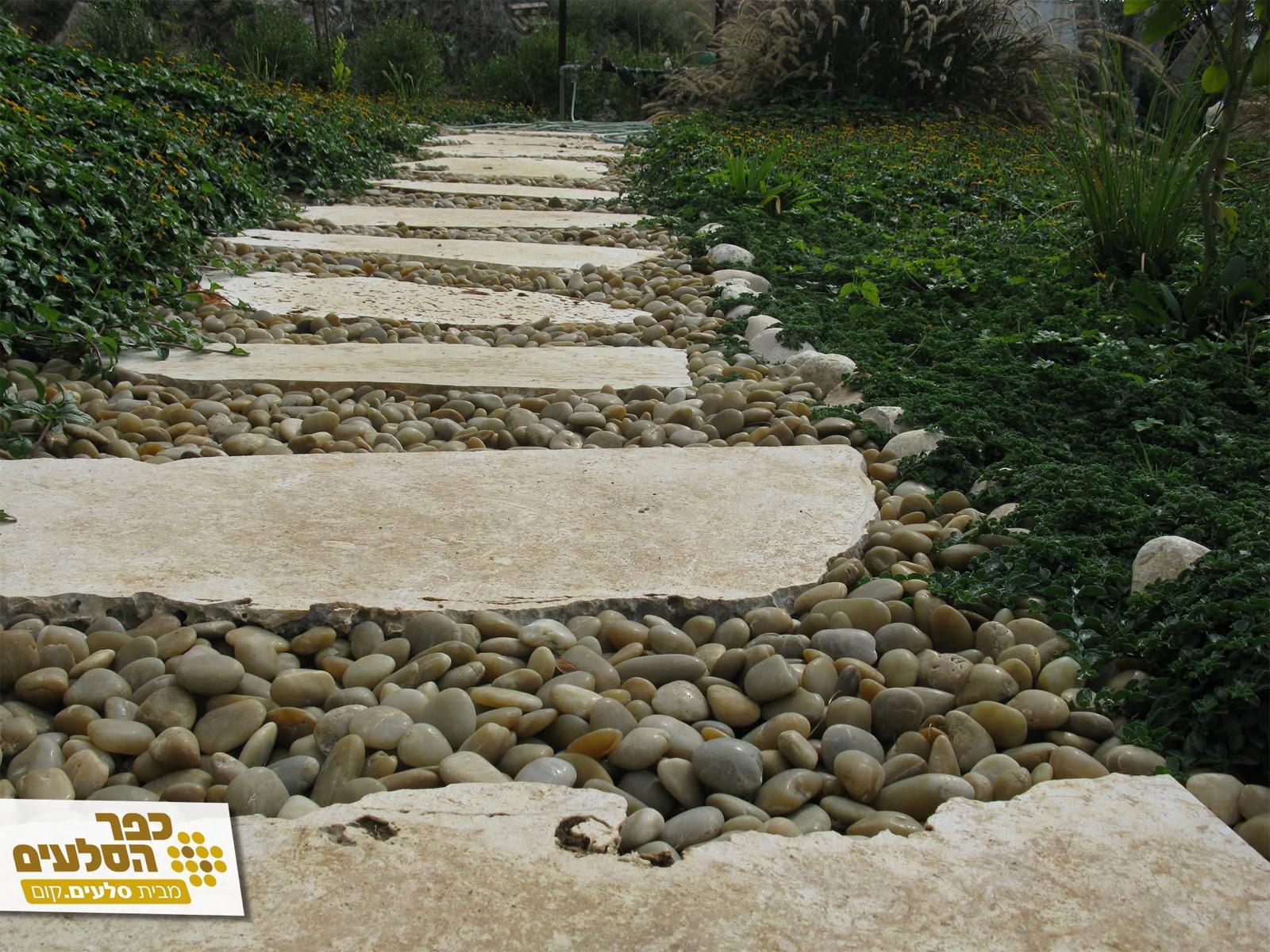 אבן דריכה טבעית