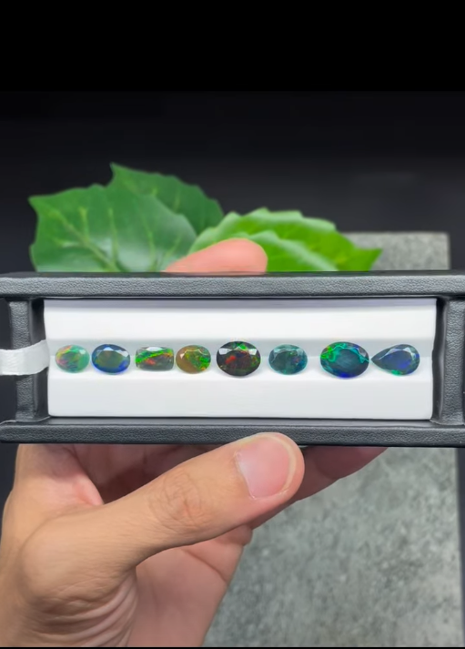 אופל שחור למכירה black opal