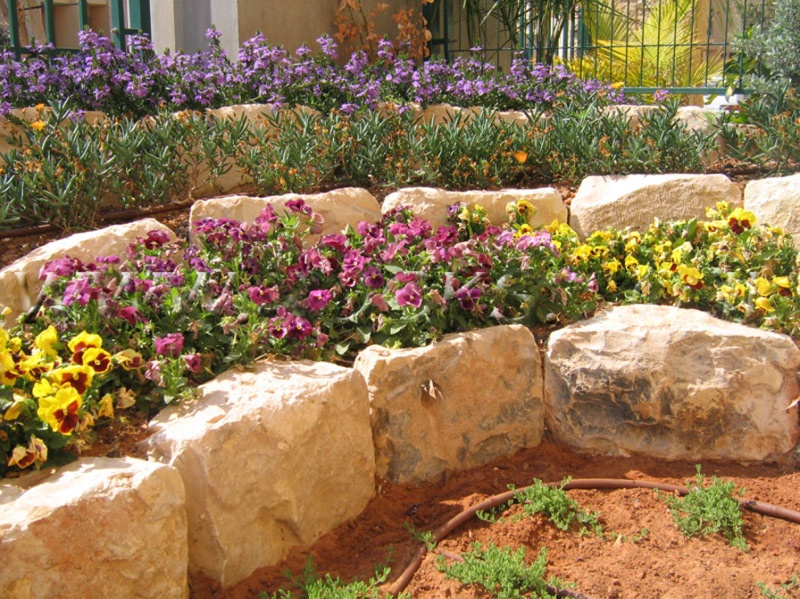 אבן לתיחום מסלעה וערוגה border stone