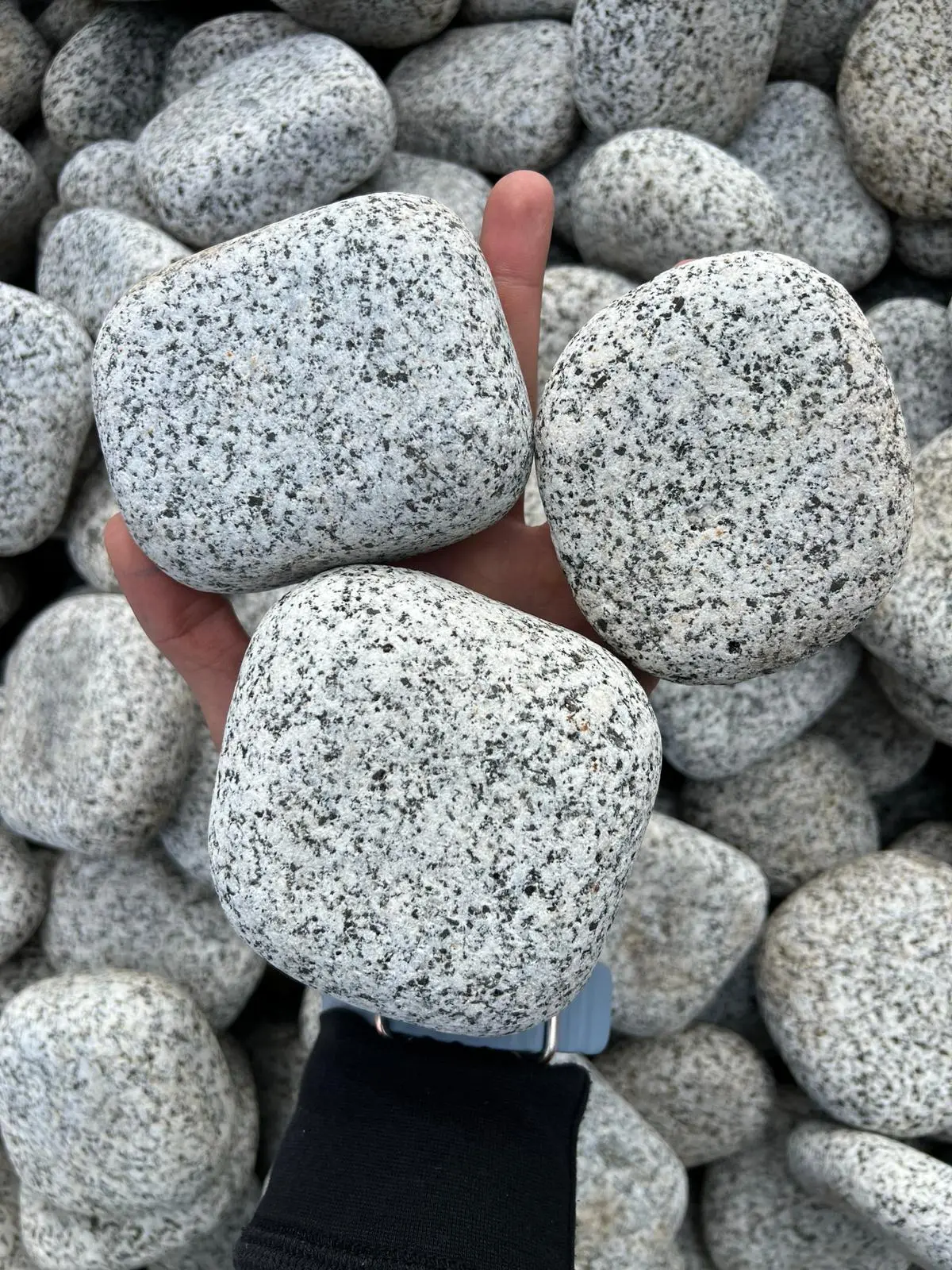 חלוקי נחל דולב עם נקודות doted granite pebbles