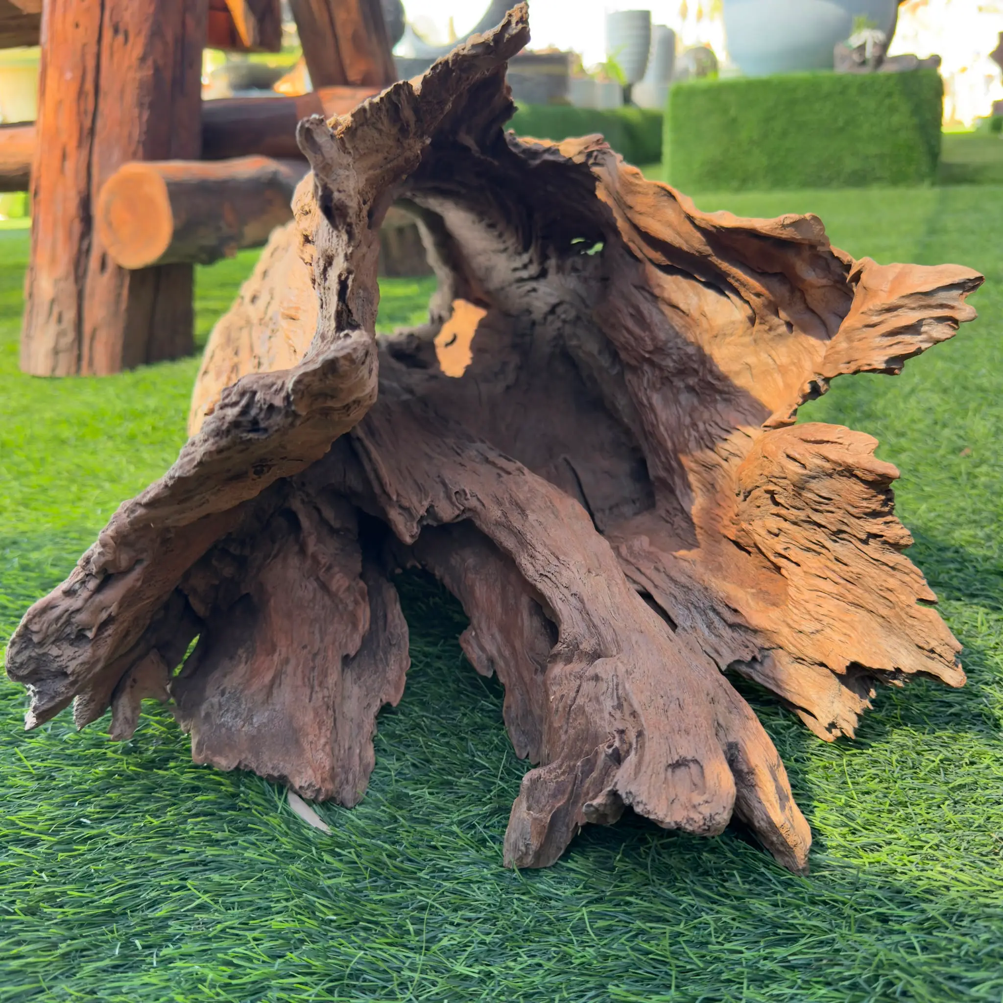 גזע סחף driftwood גזע סחף driftwood