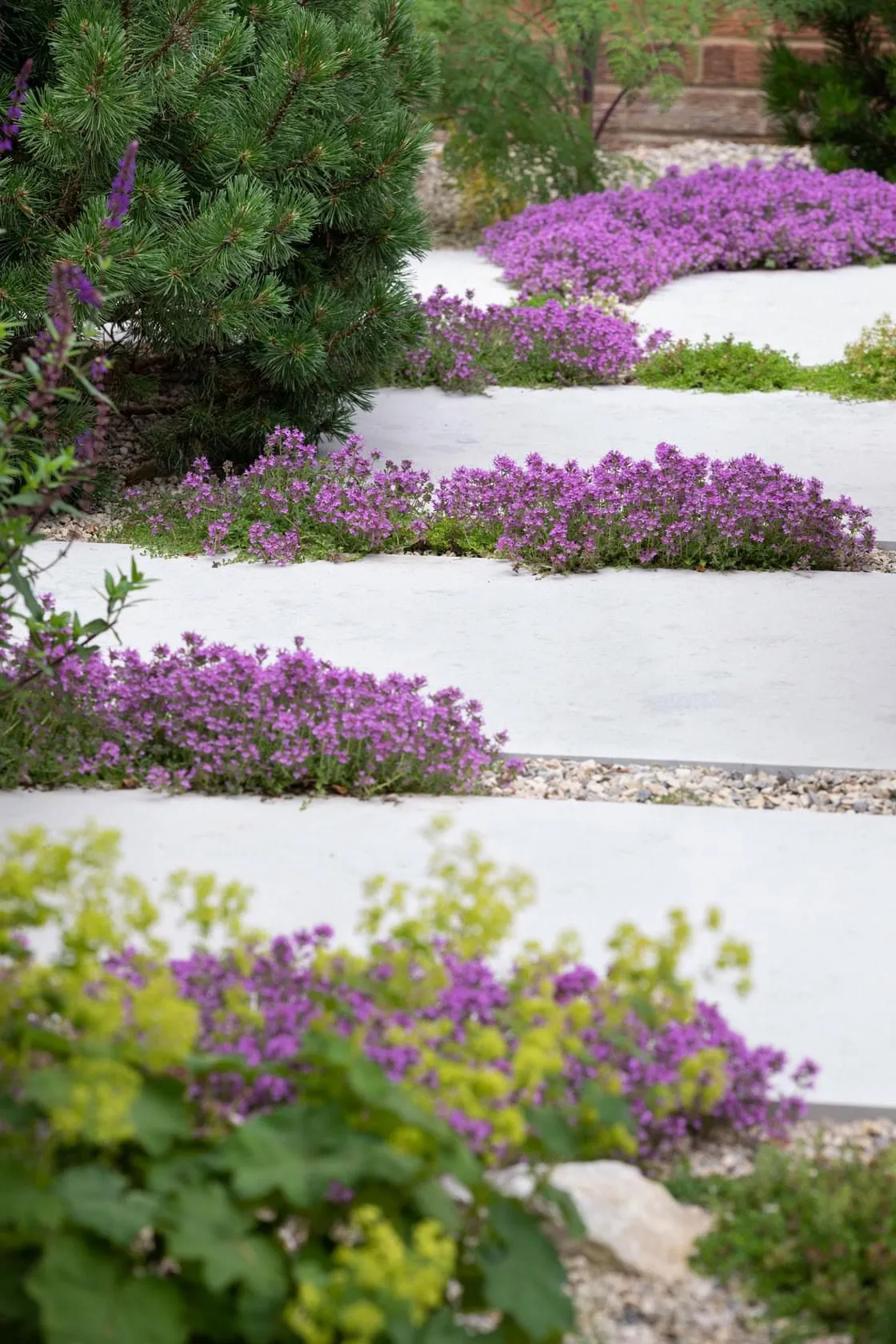 אבן מדרך מלבן לבן white rectangular natural stepstone for garden אבן מדרך מלבן לבן white rectangular natural stepstone for garden
