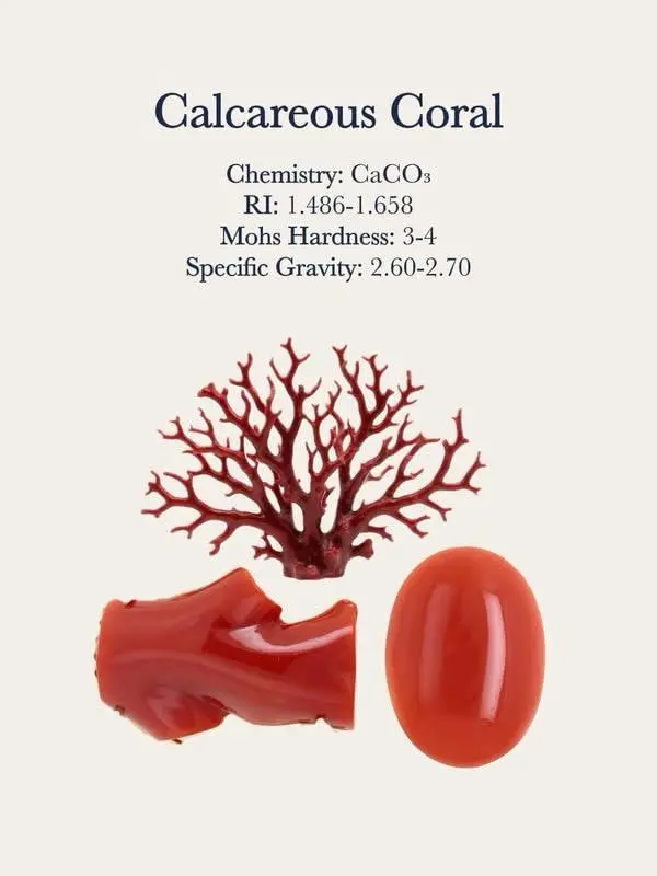 קורל אדום טבעי natural red coral for sale קורל אדום טבעי natural red coral for sale