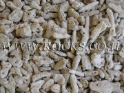 Small coral