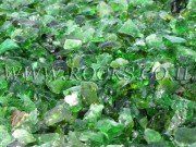 Small Green Glass