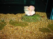 Flat Pebbles