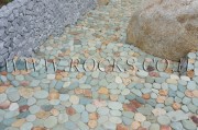 Ponchitta Pebbles