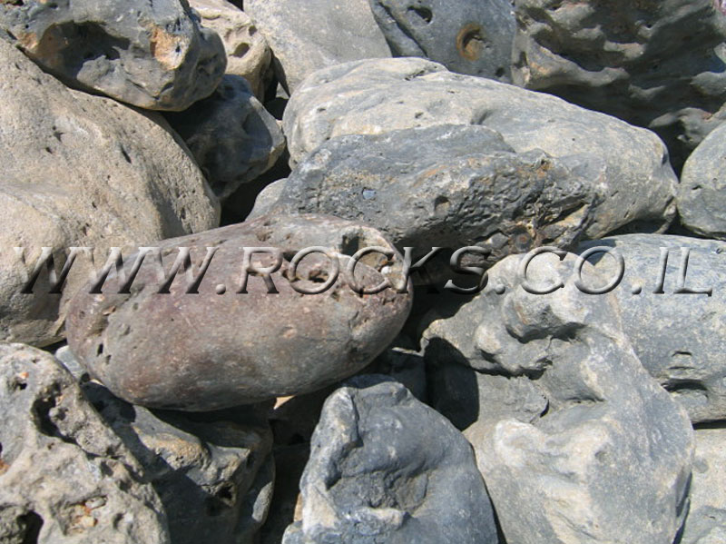 “Brain” Pebbles