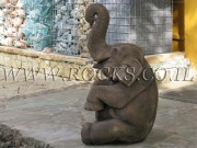 Elephants Cast