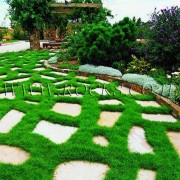 Stepping stones 