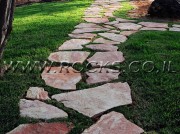 Stepping stones Gila Red