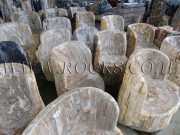 Fossil Chairs