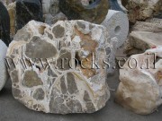 Conglomerate Rock