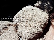 Sea Rock