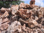 Wild Collection Rock