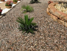 גרניט גרוסה