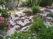 אבן דריכה פראית מנוסרת   