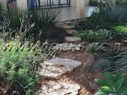 אבן דריכה פראית מנוסרת   