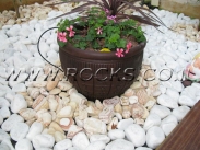 חלוקי נחל פונטש