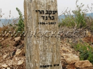 סלע מקופלת זהב    