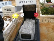 סלע מקופלת זהב    