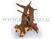 גזעים ושורשים לאקווריום.