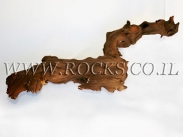 גזעים ושורשים לאקווריום.