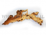 גזעים ושורשים לאקווריום.