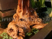 שורשים וגזעים לגינה