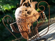 שורשים וגזעים לגינה