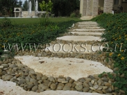 אבן דריכה פראית מנוסרת   