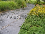 אבן דריכה ציפחה שחורה   